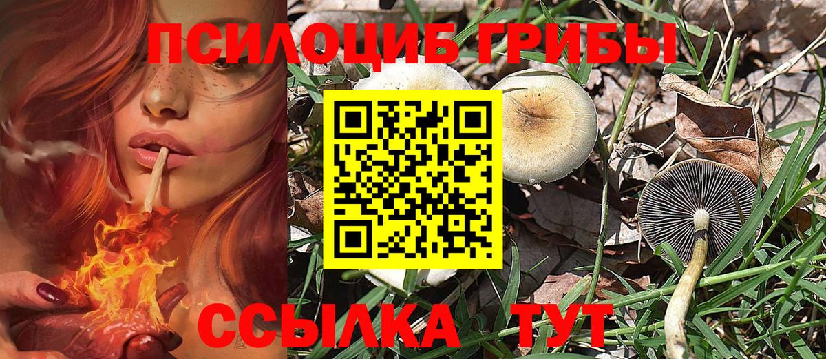 Галлюциногенные грибы MAGIC MUSHROOMS Батайск